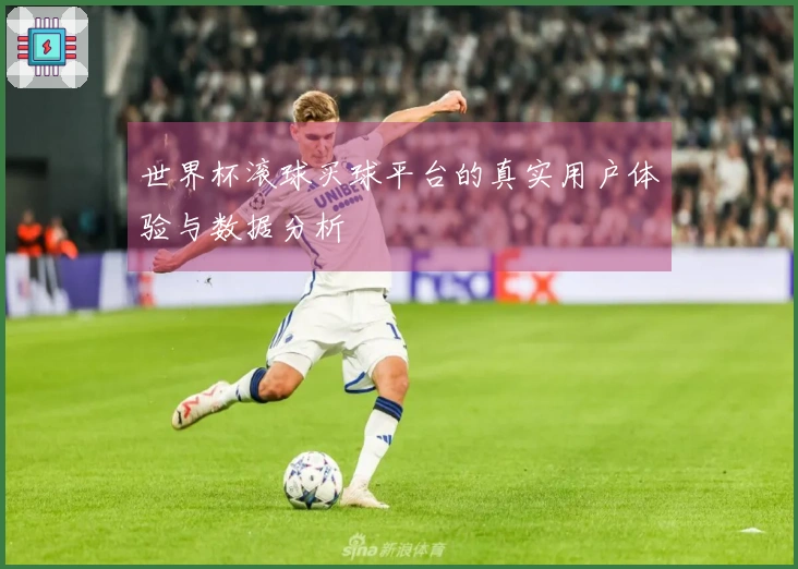 世界杯滚球买球平台的真实用户体验与数据分析