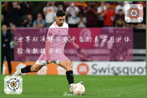 世界杯滚球买球平台的真实用户体验与数据分析