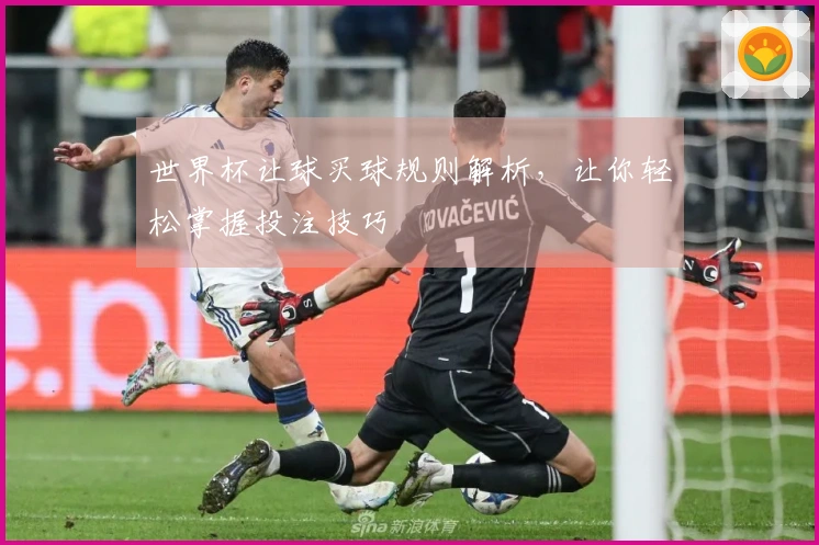 世界杯让球买球规则解析，让你轻松掌握投注技巧
