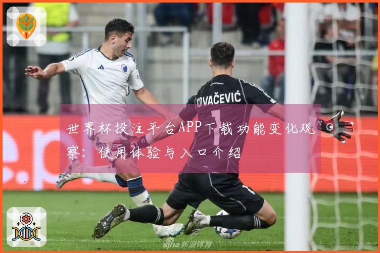 世界杯投注平台APP下载功能变化观察：使用体验与入口介绍