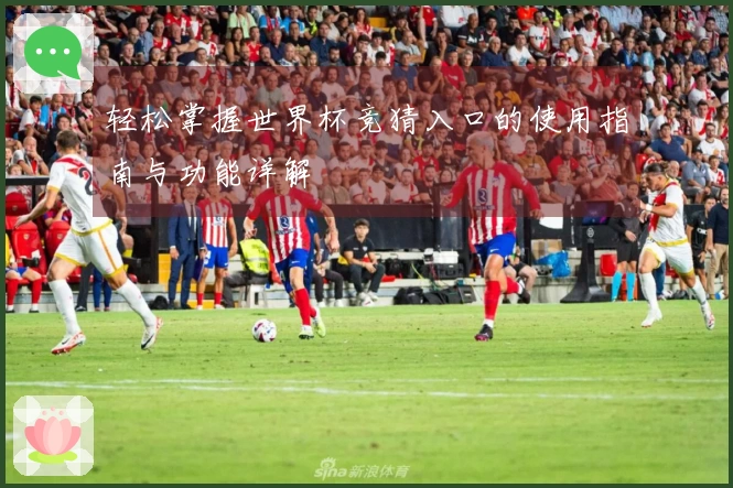 轻松掌握世界杯竞猜入口的使用指南与功能详解