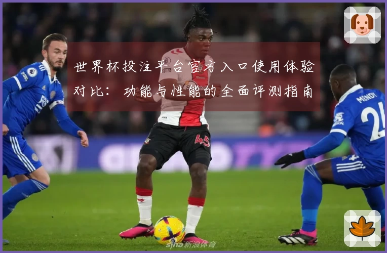 世界杯投注平台官方入口使用体验对比：功能与性能的全面评测指南