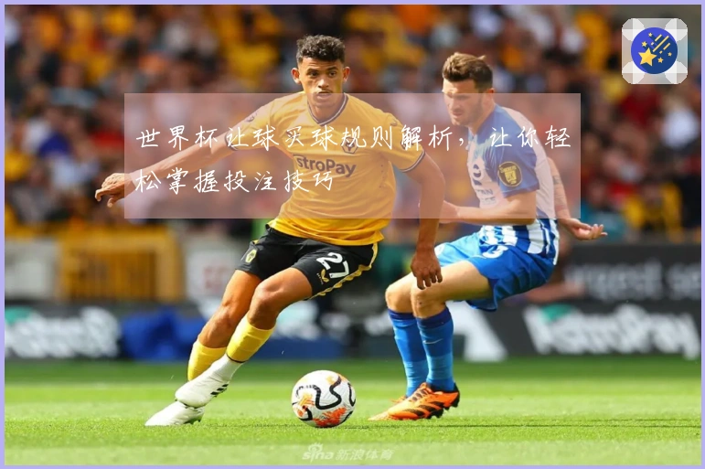 世界杯让球买球规则解析，让你轻松掌握投注技巧