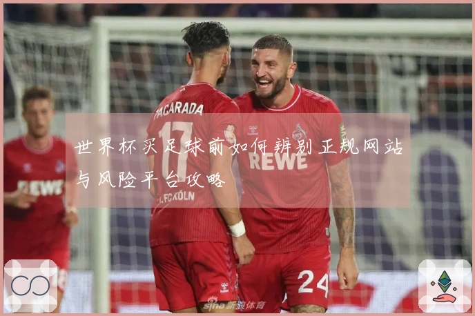 世界杯买足球前如何辨别正规网站与风险平台攻略